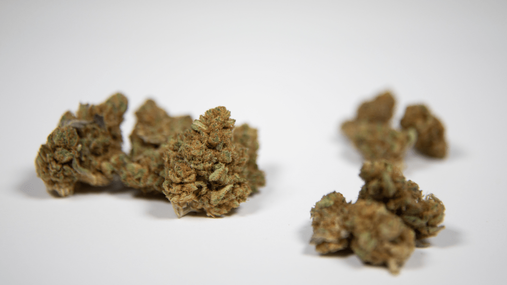 The Gary Payton Strain: A Game-Changer in the Cannabis World